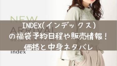 INDEX（インデックス）2022福袋の予約開始日程や再販売情報！価格と中身ネタバレ